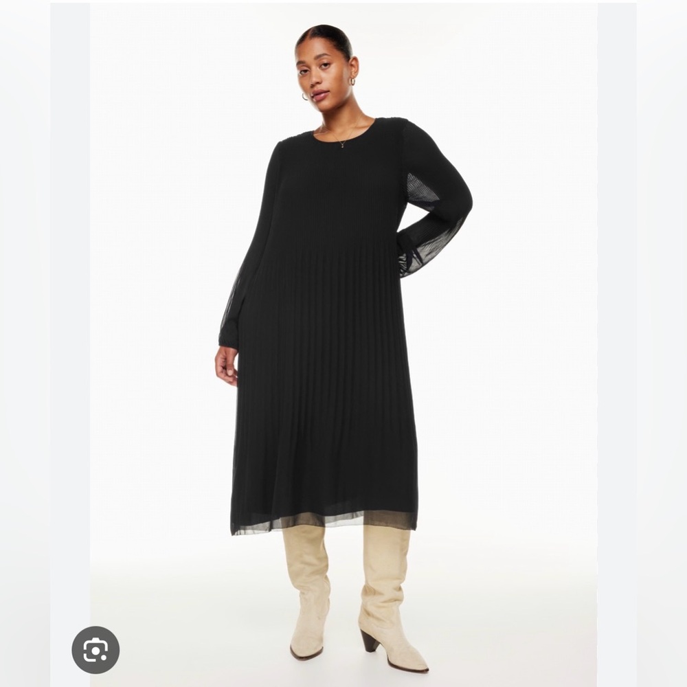 Aritzia Daydreamer dress